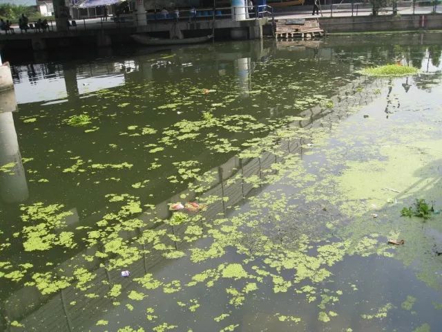 城市黑臭河道如何治理？河道黑臭水體治理思路