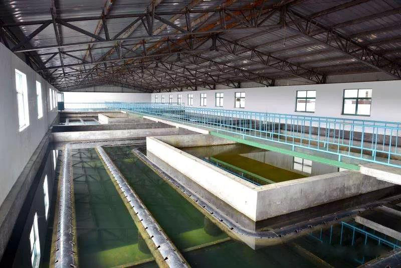 什么是制糖廢水？制糖廢水處理技術(shù)
