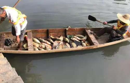 廣州旺旺食品廢水直排，永和河大量魚類死亡